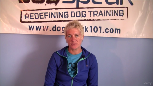 Dog Training: Creating a Solid Foundation for Your Dog – Screenshot 2