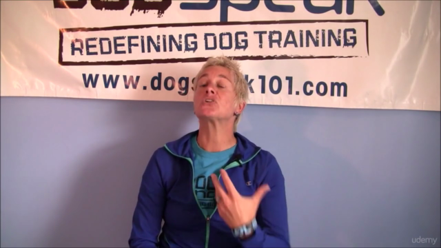 Dog Training: Creating a Solid Foundation for Your Dog – Screenshot 3