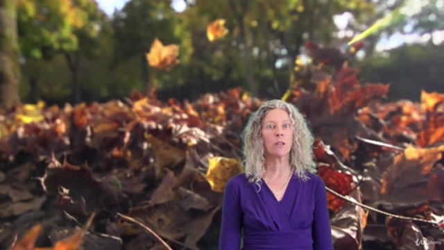 Go On A Vision Quest, Your Shamanic Gateway To Manifestation – Screenshot 2