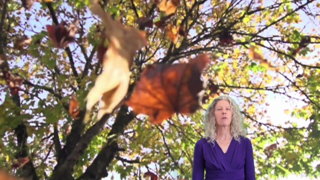 Go On A Vision Quest, Your Shamanic Gateway To Manifestation – Screenshot 3