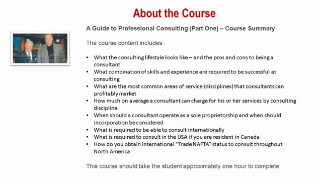 A Guide to Professional Consulting - Part One – Screenshot 1