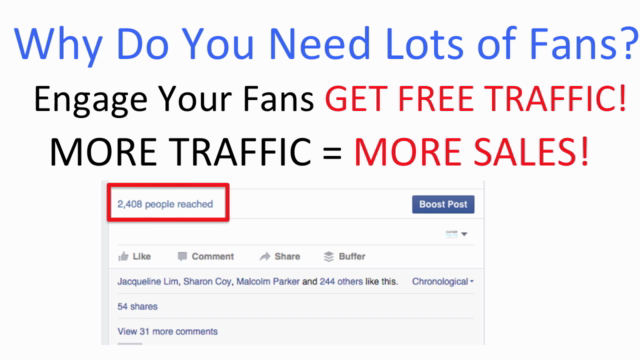 Facebook Ads Marketing Masterclass - Build Raving Fans! – Screenshot 2