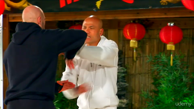 Wing Chun Biu Jee – Screenshot 2