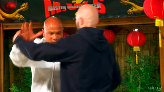 Wing Chun Biu Jee – Screenshot 3