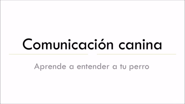Comunicación Canina - Aprende a entender a tu perro – Screenshot 1