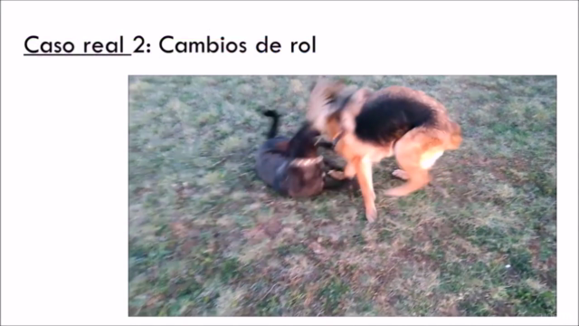 Comunicación Canina - Aprende a entender a tu perro – Screenshot 3