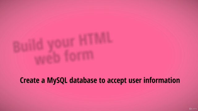 Create a Dynamic User Registration Form from scratch – Screenshot 3