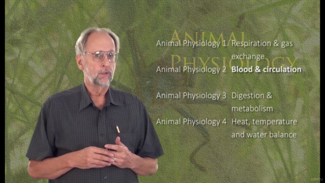 Animal Physiology 1. Respiration and gas exchange – Screenshot 2