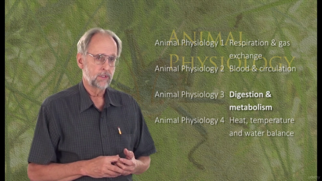 Animal Physiology 1. Respiration and gas exchange – Screenshot 3