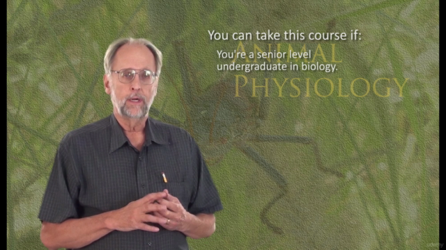 Animal Physiology 1. Respiration and gas exchange – Screenshot 4