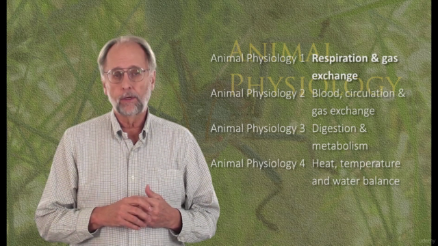 Animal Physiology 2. Blood, circulation and gas exchange - Screenshot_01