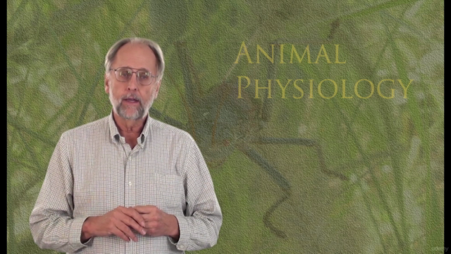 Animal Physiology 2. Blood, circulation and gas exchange - Screenshot_02