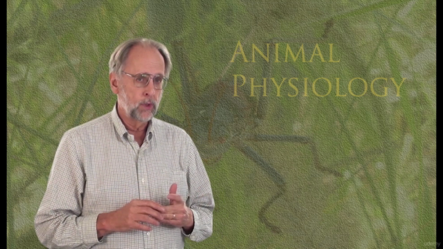 Animal Physiology 2. Blood, circulation and gas exchange - Screenshot_03