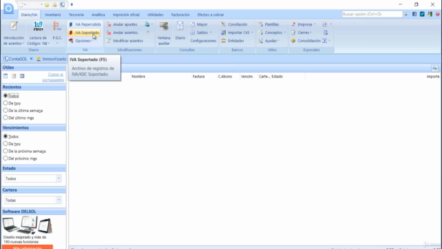 Aprende a llevar la contabilidad de forma informatizada – Screenshot 3
