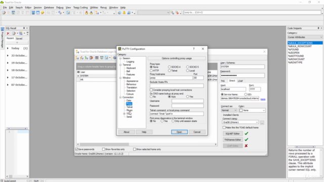 Connecting and working with Oracle Cloud DBaaS – Screenshot 4