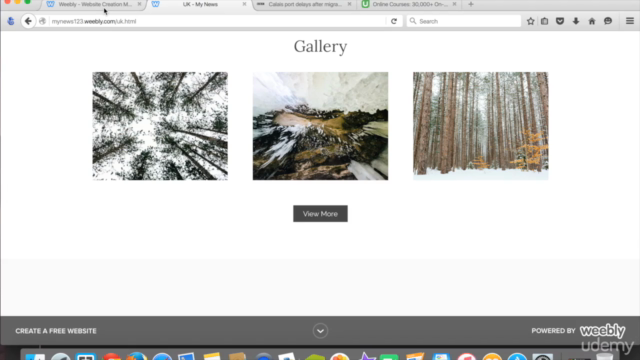 Learn to Build Professional Weebly Websites from a Kid – Screenshot 4