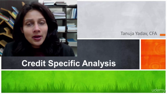 Credit Risk Analysis – Screenshot 1