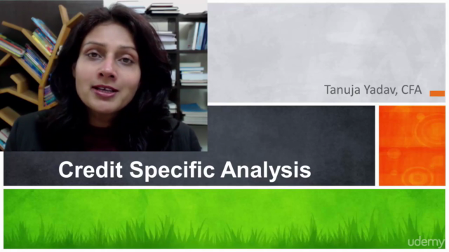 Credit Risk Analysis – Screenshot 2