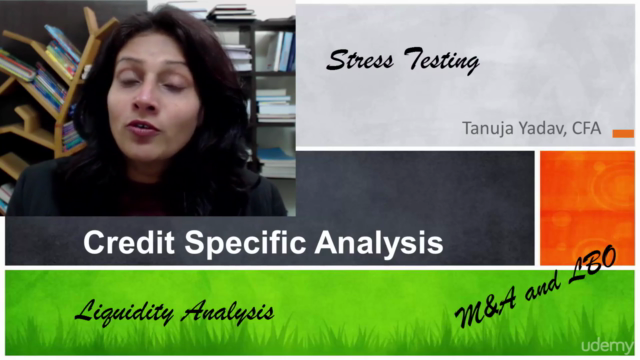 Credit Risk Analysis – Screenshot 3