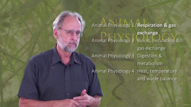 Animal Physiology 3. Digestion and metabolism - Screenshot_01