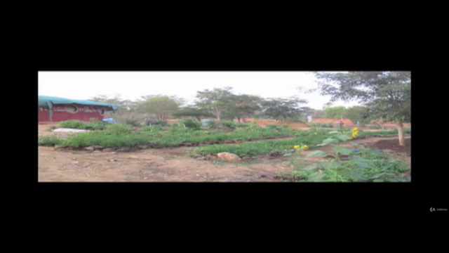 Basics of Permaculture Design – Screenshot 2