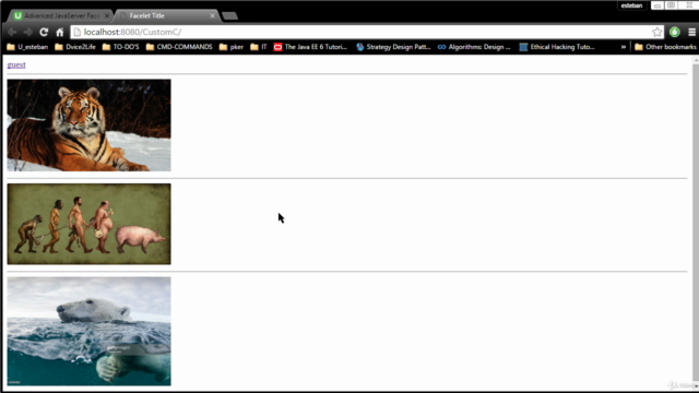 JSF - Learn how to deploy, add security and more – Screenshot 3