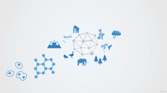 Systems Ecology An Introduction – Screenshot 1