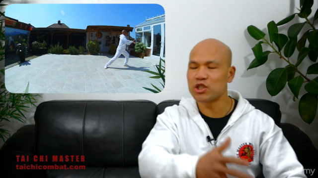 Tai Chi Chen Style – Screenshot 1
