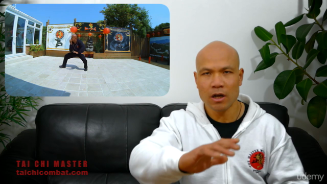 Tai Chi Chen Style – Screenshot 2