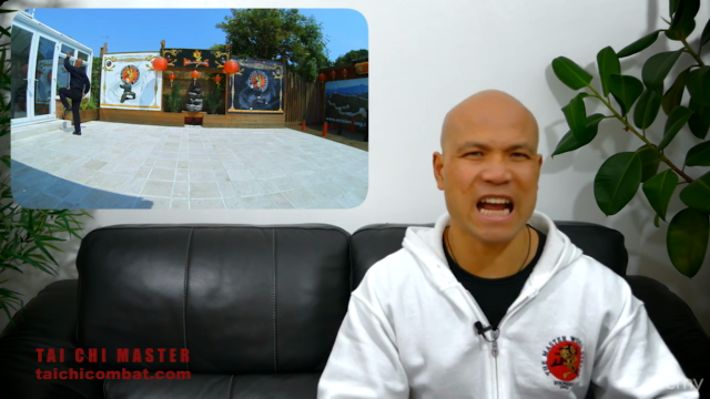 Tai Chi Chen Style – Screenshot 3