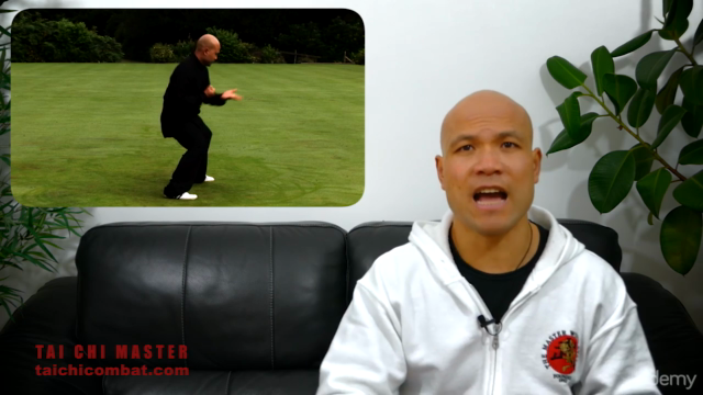 Tai Chi Chen Style – Screenshot 4