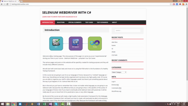 Selenium WebDriver with C# for Beginners + Live Testing Site – Screenshot 2