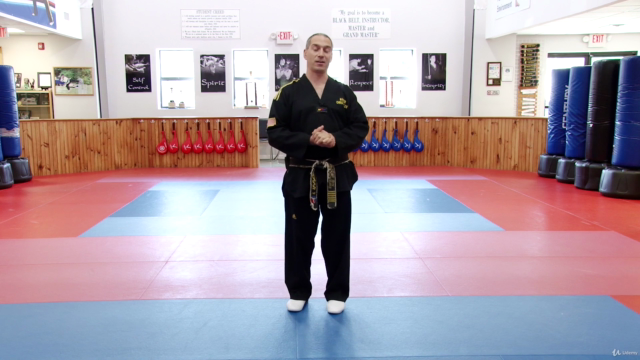 Strike And Block Like A Black Belt – Screenshot 1