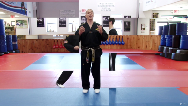 Strike And Block Like A Black Belt – Screenshot 3