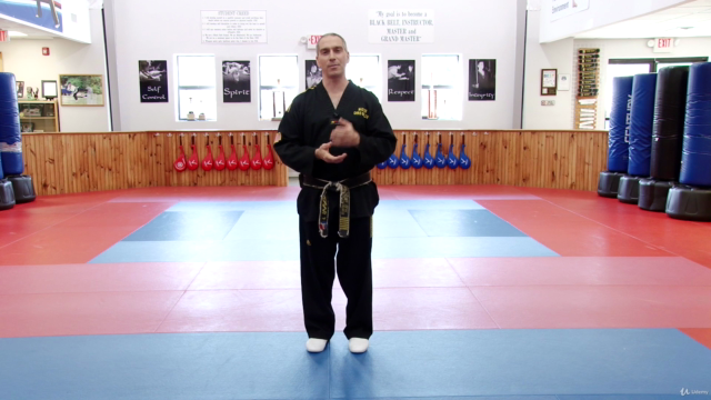 Strike And Block Like A Black Belt – Screenshot 4
