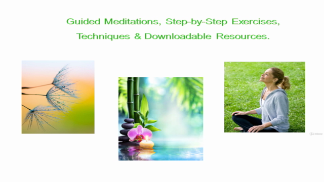 Emotional and Mental Well-Being to Create a More Joyful Life – Screenshot 3