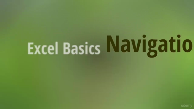 Excel Basics– the Ultimate Beginner’s Course – Screenshot 2