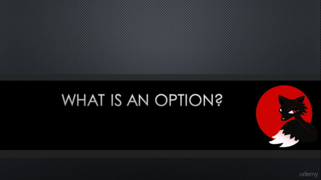 What is a Stock Option? - Screenshot_01