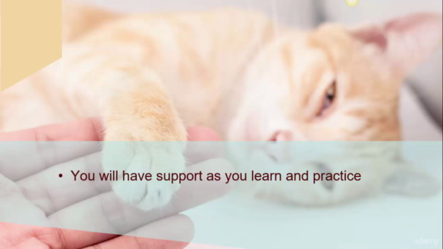Animal Reiki Practitioner Certification – Screenshot 2