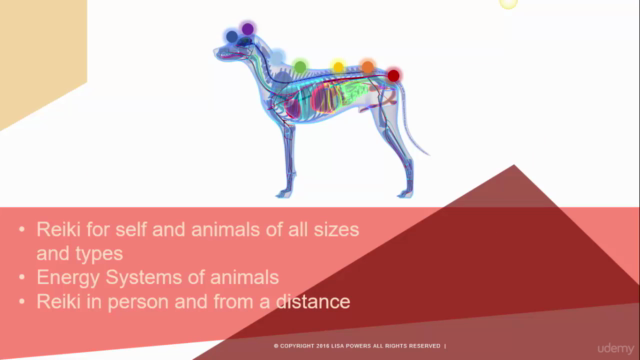Animal Reiki Practitioner Certification – Screenshot 3