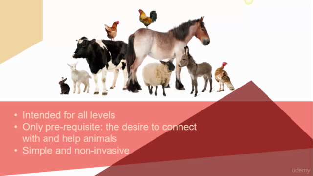 Animal Reiki Practitioner Certification – Screenshot 4