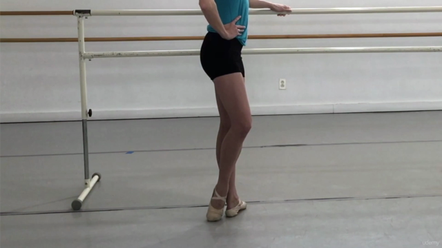 Basic Barre Workout – Screenshot 2