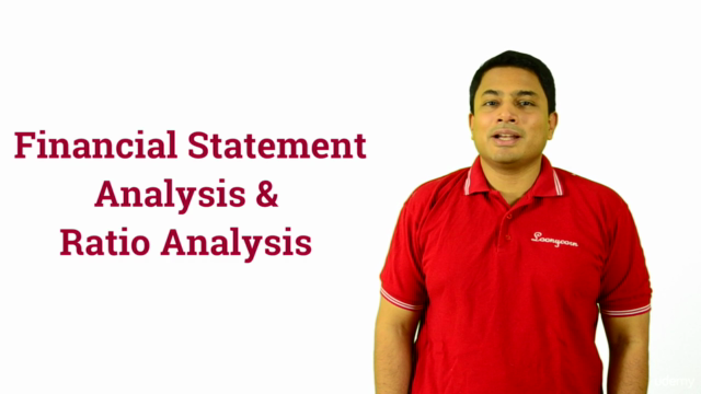 Corporate Finance 101: Financial Statement Analysis & Ratios – Screenshot 1