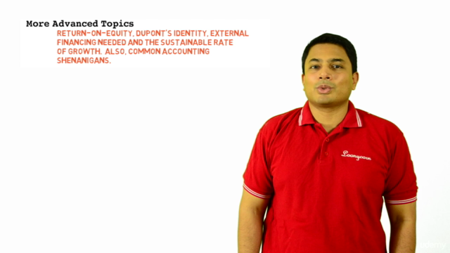 Corporate Finance 101: Financial Statement Analysis & Ratios – Screenshot 3