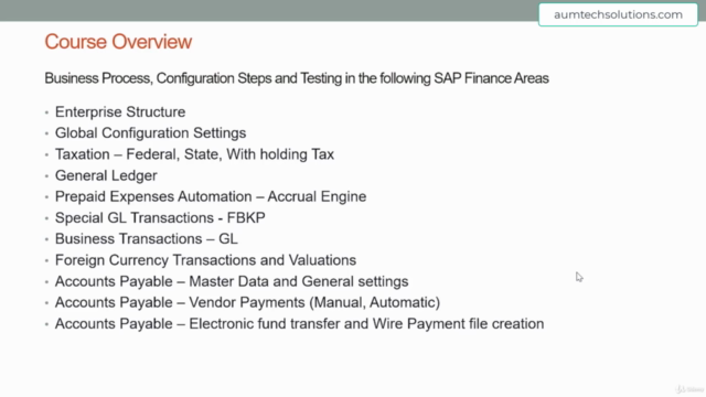 SAP Finance and Controlling – Screenshot 1
