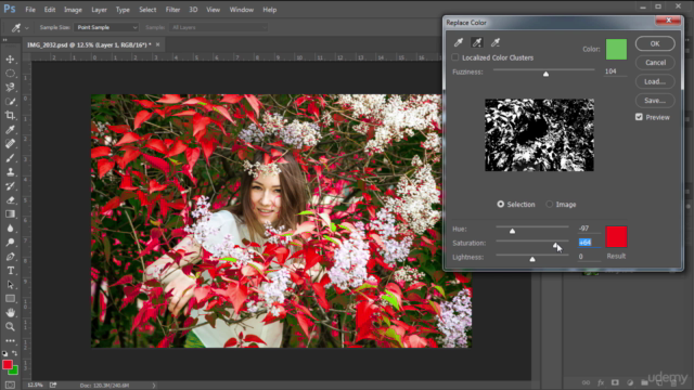 Image Adjustments and Adjustment Layers in Photoshop – Screenshot 4