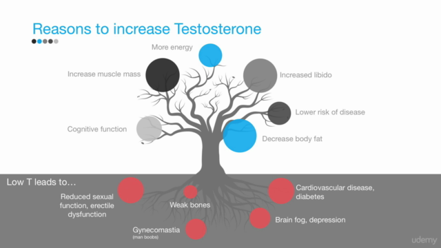 Boost Testosterone Naturally, Reverse Gynecomastia - Screenshot_02