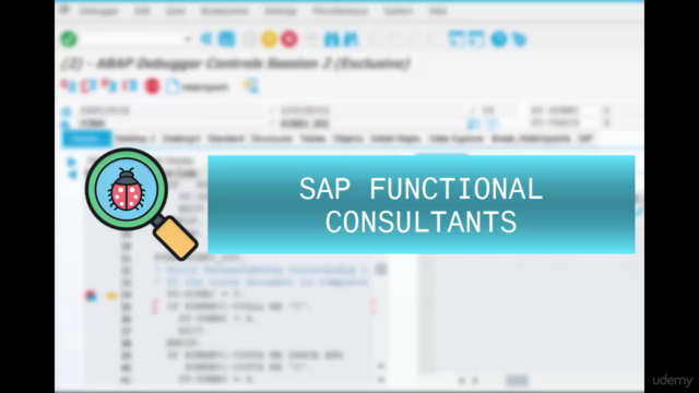 SAP Debugging for Functional Consultants - Screenshot_02