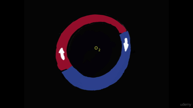 Physics of Human Evolution – Screenshot 1