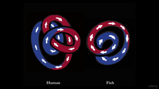 Physics of Human Evolution – Screenshot 2